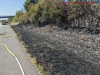 Brand - Freifläche, A81 Richtung Heilbronn, 23.08.2022